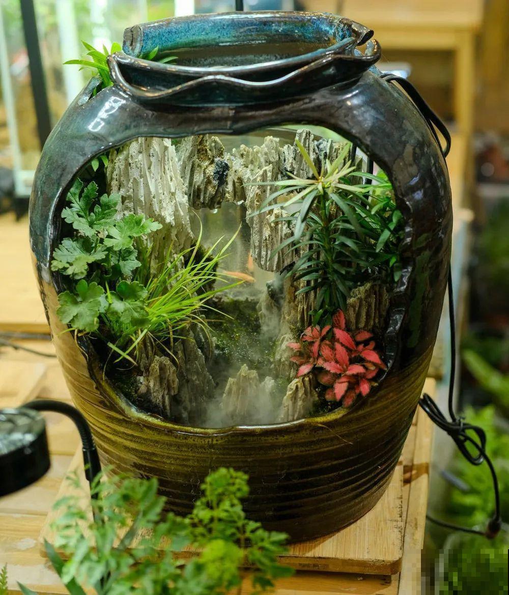 逛花市必买的花，十月入手刚刚好，不买亏大了！