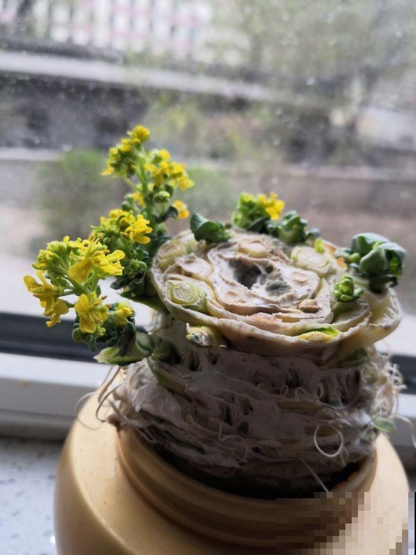 超实用的6个小妙招，提升生活幸福感，你学会几个？