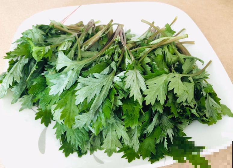 花是一种文化,每个传统节日,都有一种花 花是一种文化,每个传统节日,都有一种花