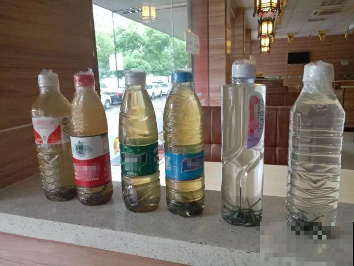 这花10块钱买一大把，丢水里冒出萝卜根，太好养！