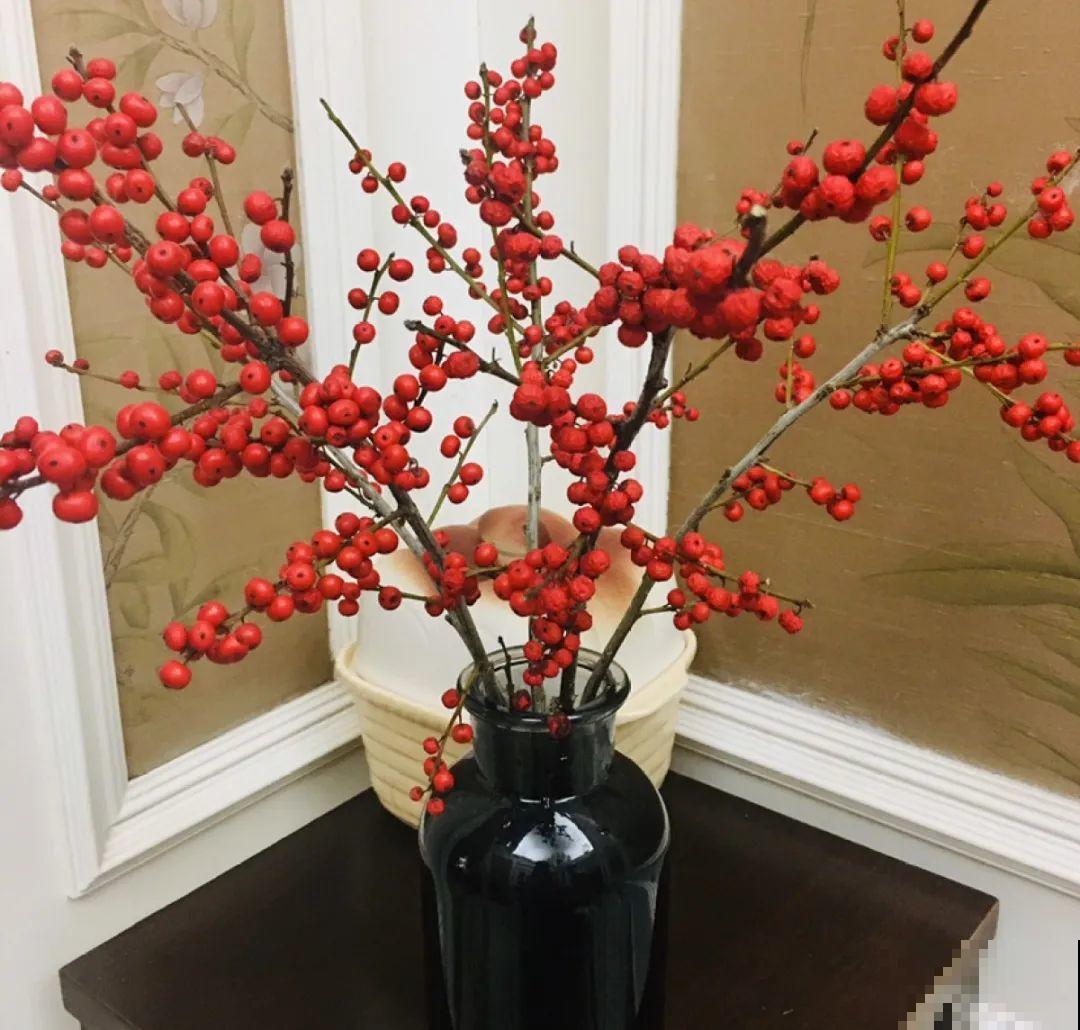 8种贵花，一盆好几百，有钱了一定要买一盆！