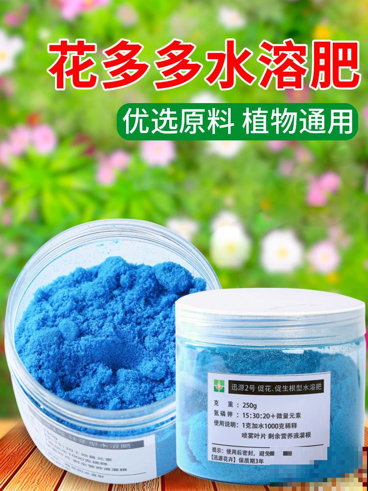 龙骨青葱翠绿，枝干苍劲挺拔，一年四季常青