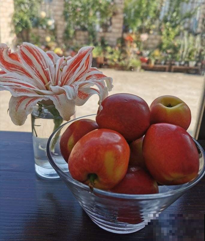 秋冬季节易得流感，记住6个要点，流感不上身