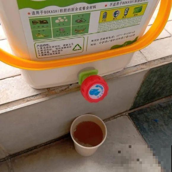 大螃蟹做花肥,秋天大补,花吃完就疯长了! 大螃蟹做花肥,秋天大补,花吃完就疯长了!