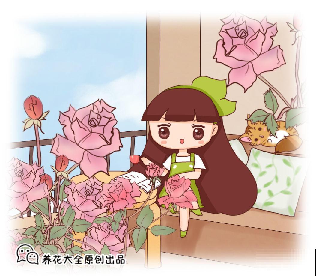 芍药还是牡丹？你真的了解花中二绝吗？别再错认姐妹俩了！