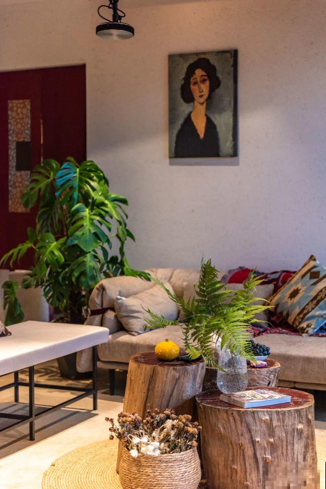 家里养盆它，变成绿色小森林，净化空气变氧吧！