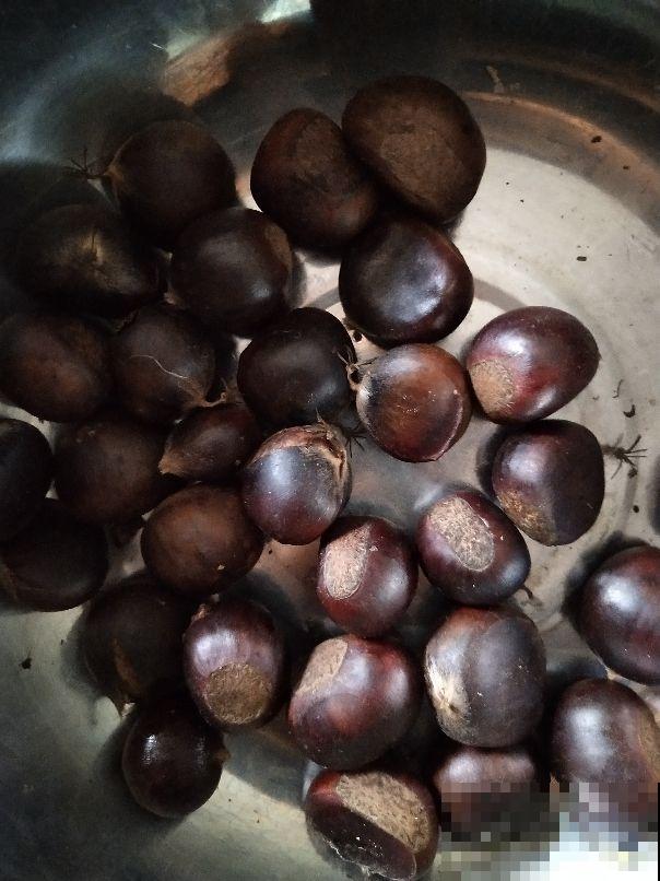 栗子好吃，但是挑选要擦亮眼睛，记住4个要点很重要