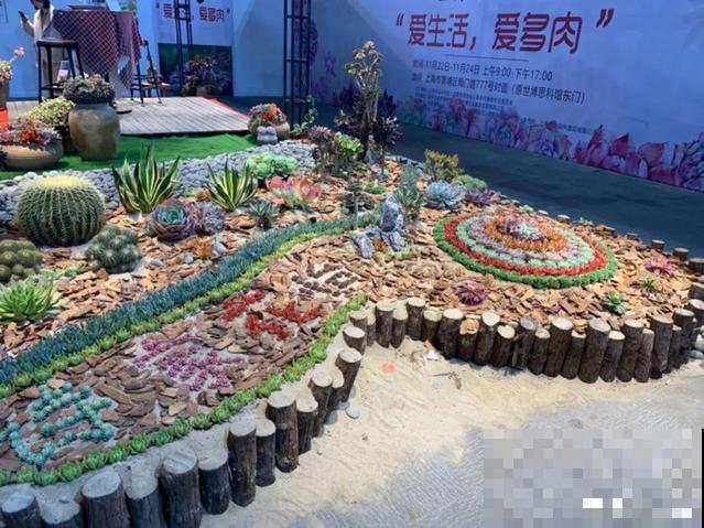 花展上价值好几万的花，看一眼就震撼，太漂亮