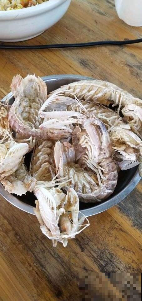 自己在家做肥料，花吃了砰砰爆花，省下一大笔肥料钱