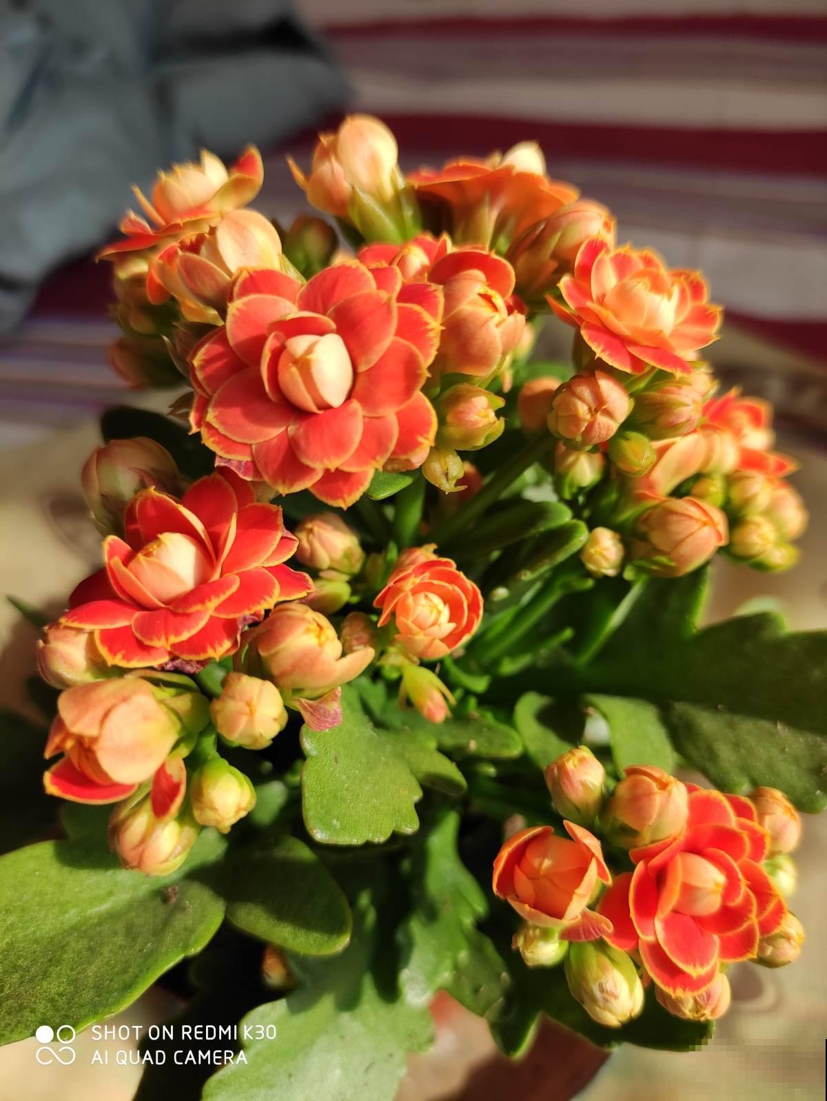 6个生活小技巧，记住一半，越过越幸福