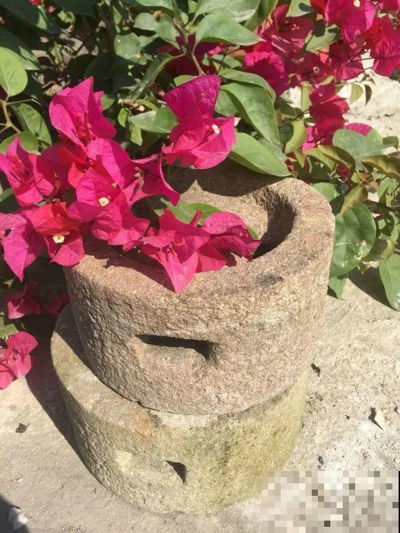 人家拆迁，我捡宝贝，花盆大缸……随便拿！