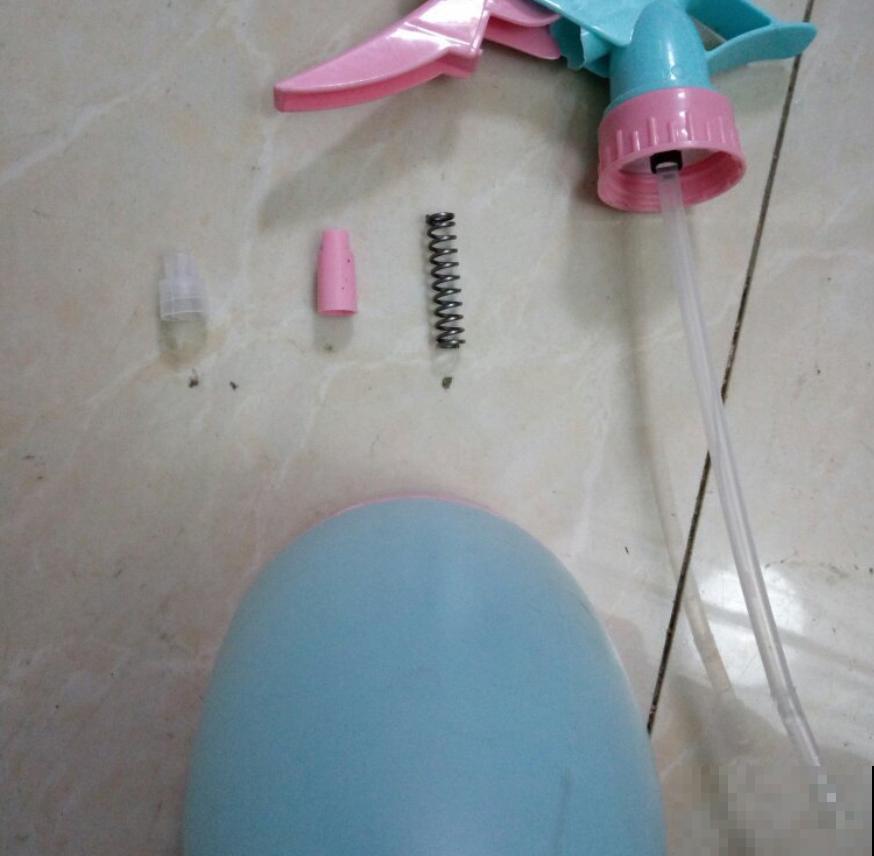 养花如何增加空气湿度？4个小妙招，省下空气加湿器的钱！