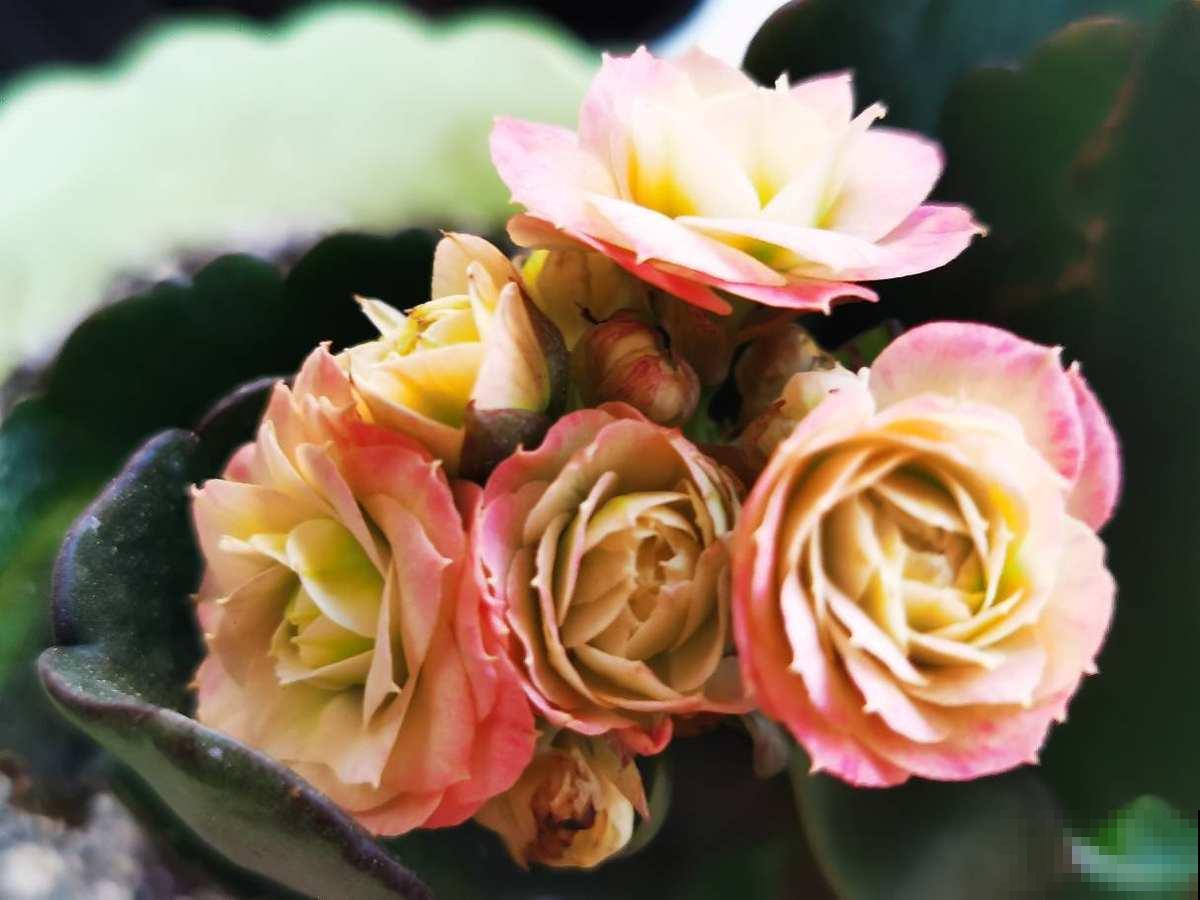 6个生活小技巧，记住一半，越过越幸福