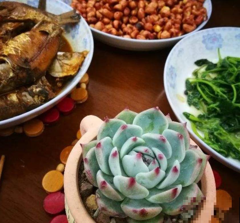 热饭菜能不能放冰箱?这么多年你都想错了,观念要更新! 热饭菜能不能放冰箱?这么多年你都想错了,观念要更新!