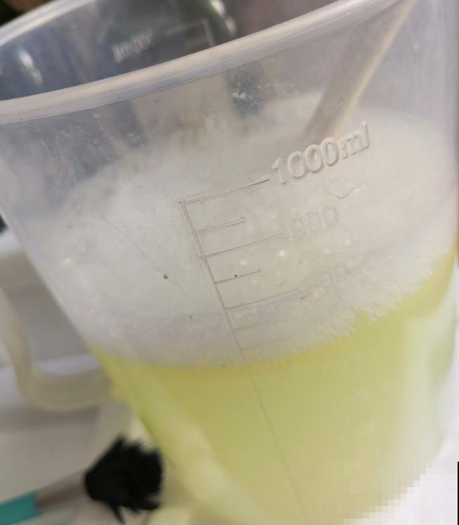 家里的花招了蚧壳虫，橄榄油加洗洁精，给花喷点效果好！