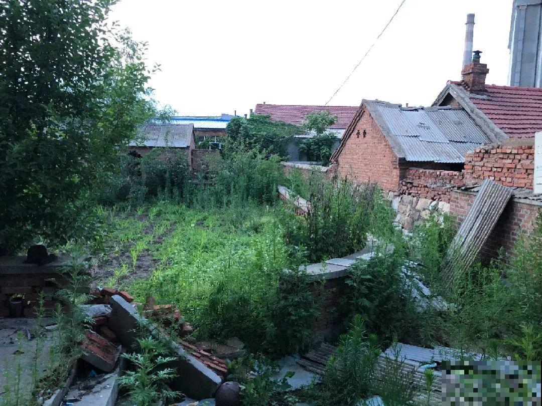 人家拆迁，我捡宝贝，花盆大缸……随便拿！