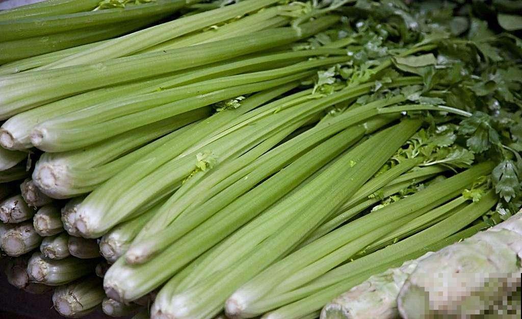 种盆芹菜放厨房，做饭时摘几棵，新鲜爽口又健康！