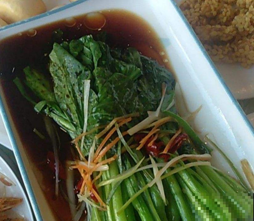 秋冬阳台种菠菜,抗寒又好养,改善伙食种一波儿! 秋冬阳台种菠菜,抗寒又好养,改善伙食种一波儿!