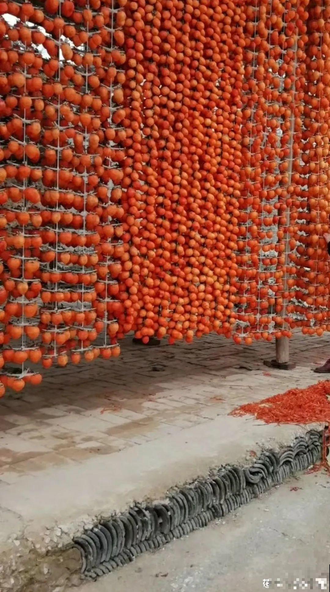 秋天硕果大丰收,吃不完的晒一晒,做成果干更香甜 秋天硕果大丰收,吃不完的晒一晒,做成果干更香甜