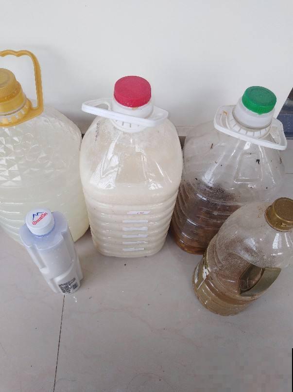 自己在家做肥料，花吃了砰砰爆花，省下一大笔肥料钱