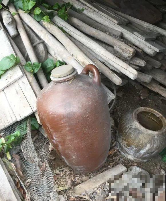 人家拆迁，我捡宝贝，花盆大缸……随便拿！