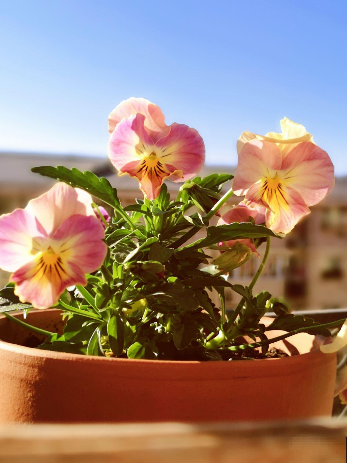 6个生活小技巧，记住一半，越过越幸福