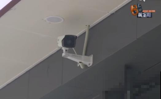 法院门口的花，全都被偷光，小偷的回答令人哭笑不得