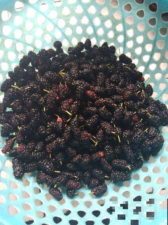 春天常吃这4种水果，补充维C预防感冒，口感也超棒