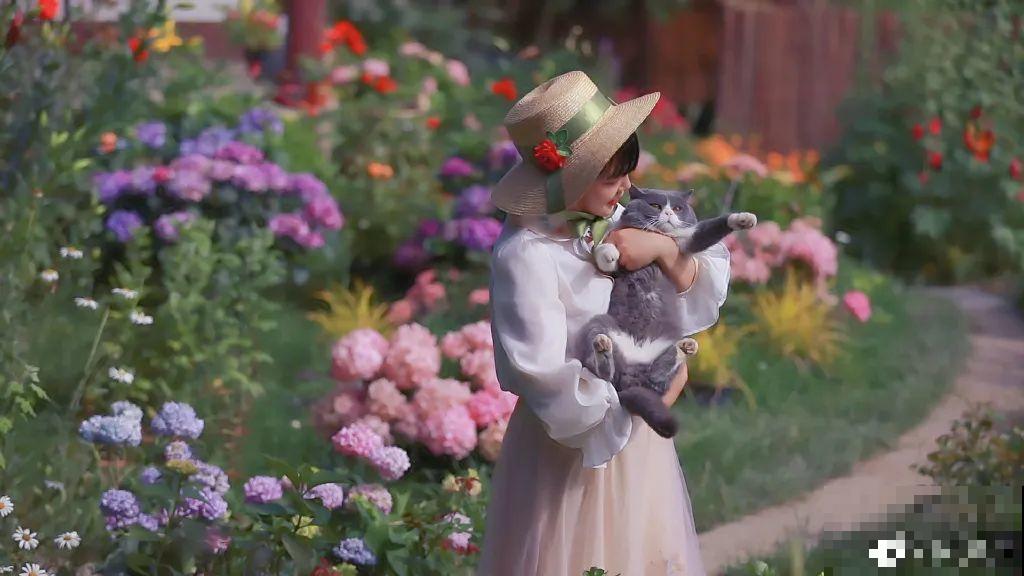 3年的时间，老院子变成大花园，过上塔莎奶奶一样的日子！