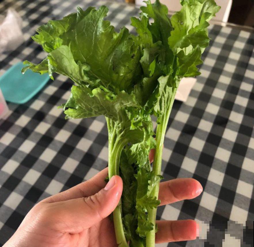 冬天就爱囤菜？教你3种保鲜法，放上多久都没问题！