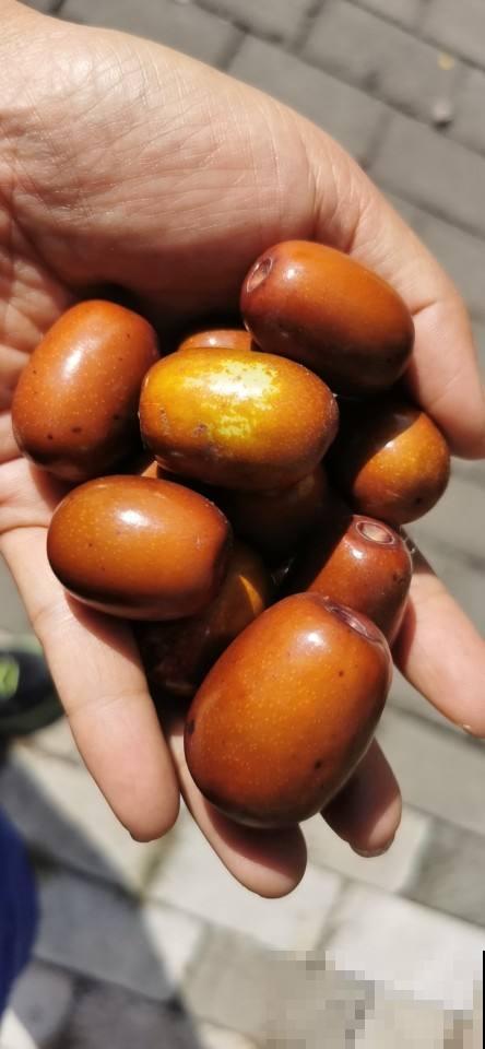 菜刀前面有个小孔，还有这4个妙用，后悔知道晚了