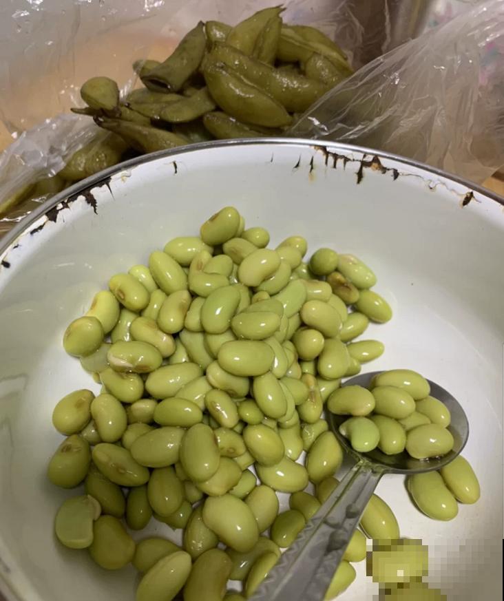 还去烧烤摊吃毛豆?自己阳台种几盆,煮一煮老香了! 还去烧烤摊吃毛豆?自己阳台种几盆,煮一煮老香了!