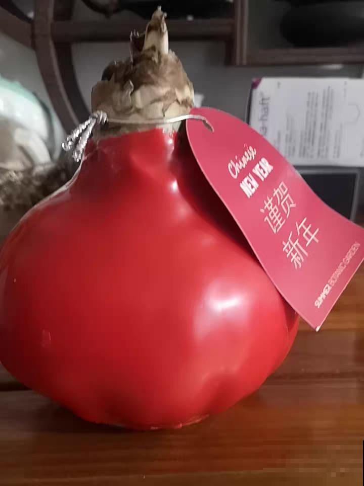 那些花市上的智商税，你成功躲避过几个？