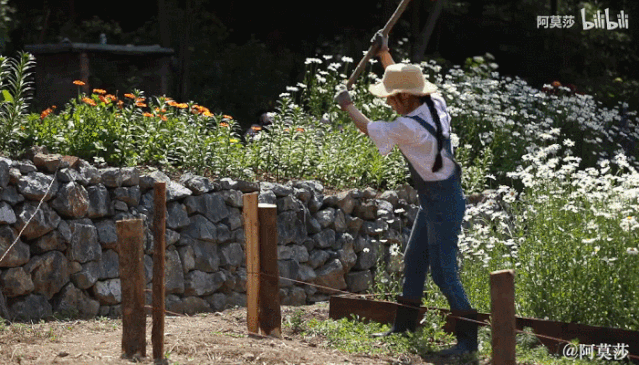 3年的时间，老院子变成大花园，过上塔莎奶奶一样的日子！