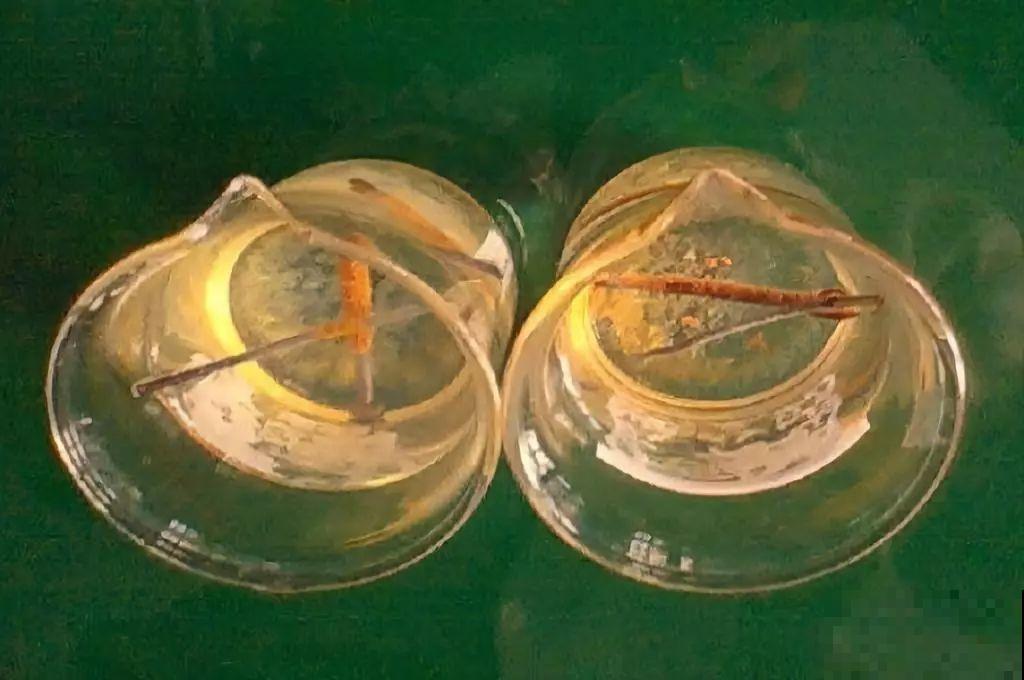 铁锈水浇花真的好用吗？看完这篇，养花才能不“踩雷”！