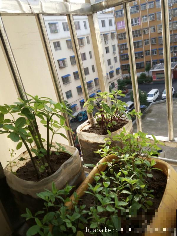 家里的两扇门，平时最好关上，有利于身心健康
