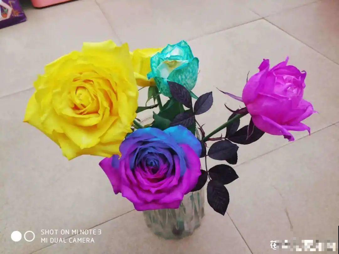 染色大葱？卫生纸一擦就掉色，真细思极恐