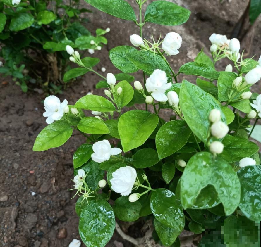 为啥孩子不爱学？房间里放一个它，效率嗖嗖上升！