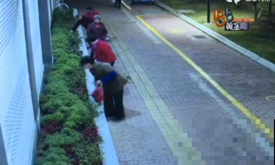 法院门口的花，全都被偷光，小偷的回答令人哭笑不得