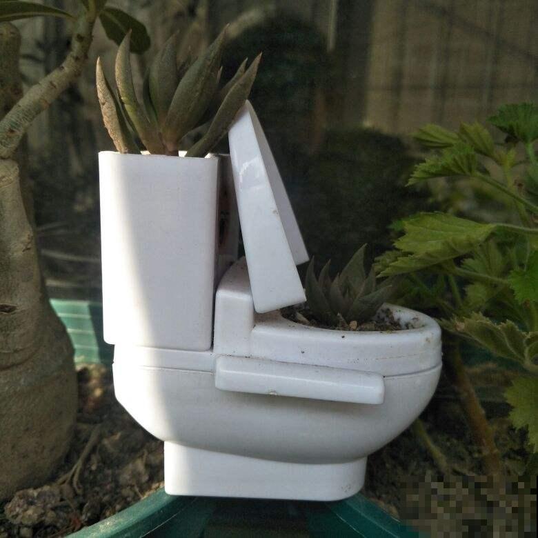 小苏打妙用多，清洁杀菌消毒，样样都行