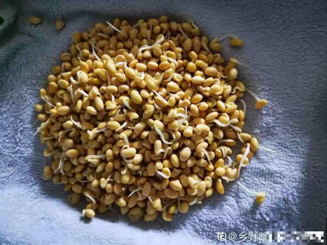 明年不种花了，弄个筐子种点菜，能省不少钱