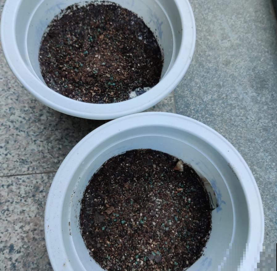 淘汰下的旧土先别扔，放锅里炒一炒，效果还很好！