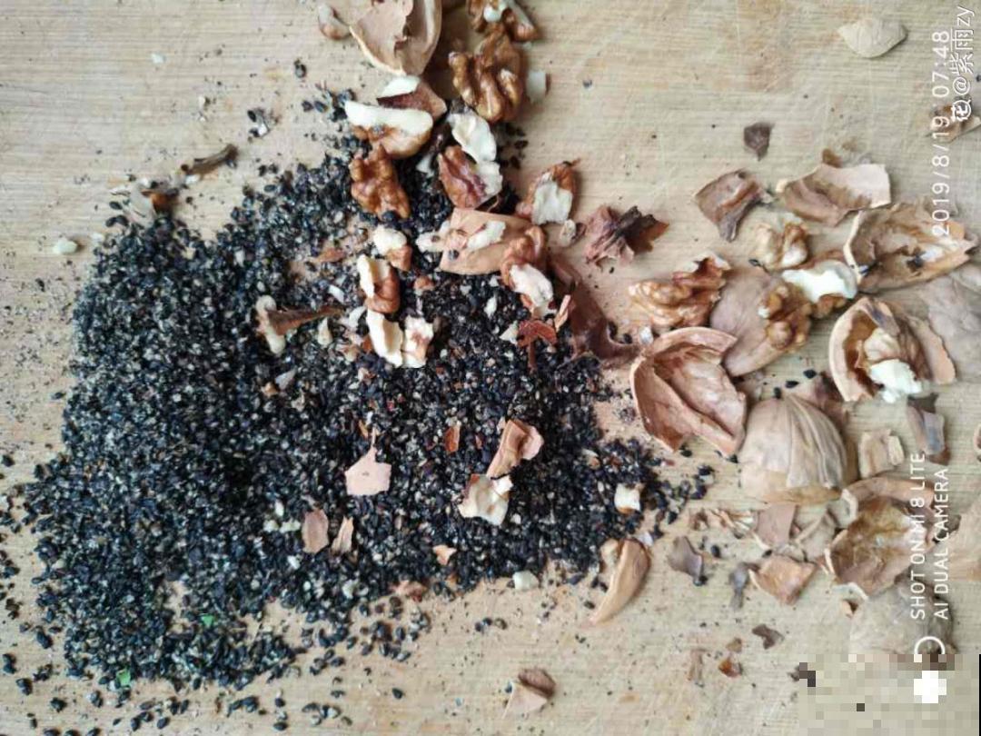 10个养花偏方,一般人我不告诉他,养花太好用 10个养花偏方,一般人我不告诉他,养花太好用