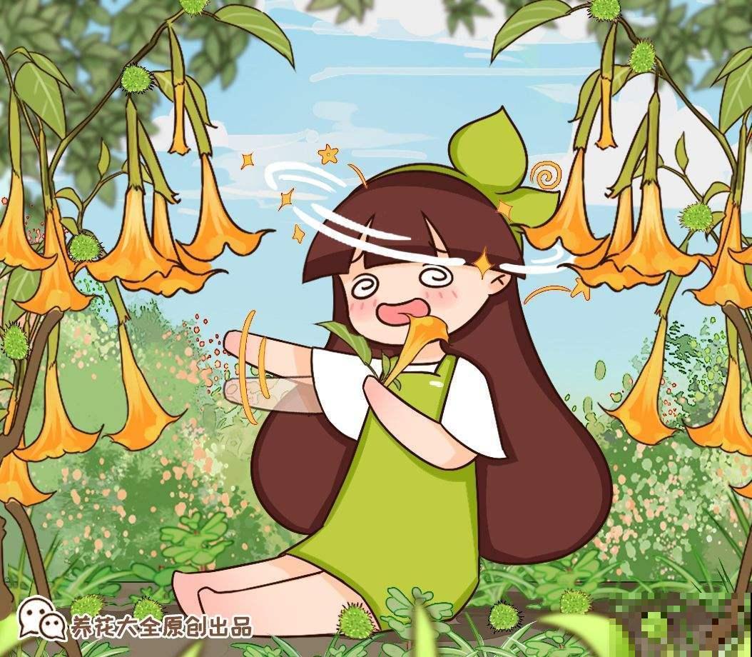 养花别瞎养！这5种花室内千万别养，快看看你家有没有！