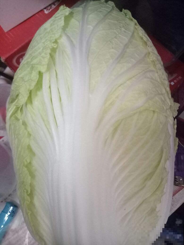 冬天买菜有窍门，常见的两种蔬菜，长个心眼才能挑到好菜