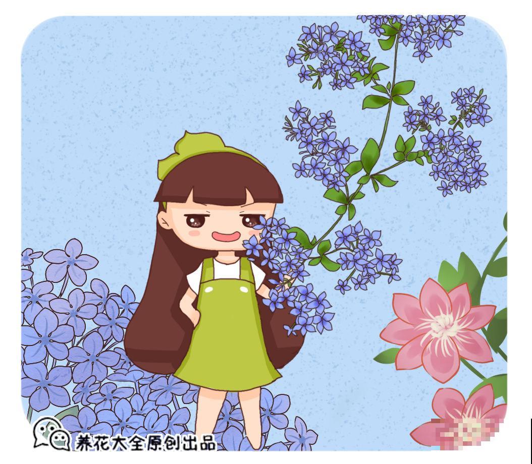 喜欢蓝色的一定不要错过，这5种蓝色系的花，清新又浪漫！