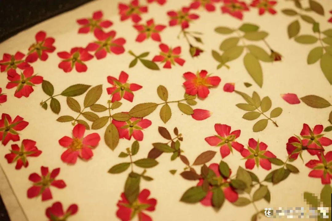 干花制作方法，学会了超实用，留住花儿美好