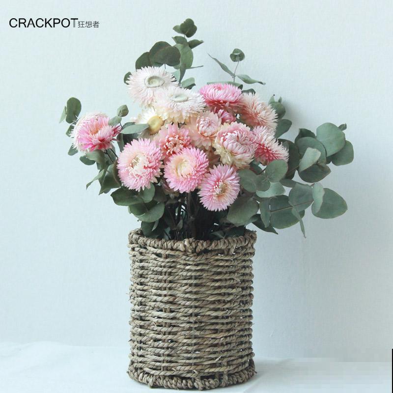 12星座幸运花,你是什么星座,最旺你的花就是它!(下篇) 12星座幸运花,你是什么星座,最旺你的花就是它!(下篇)