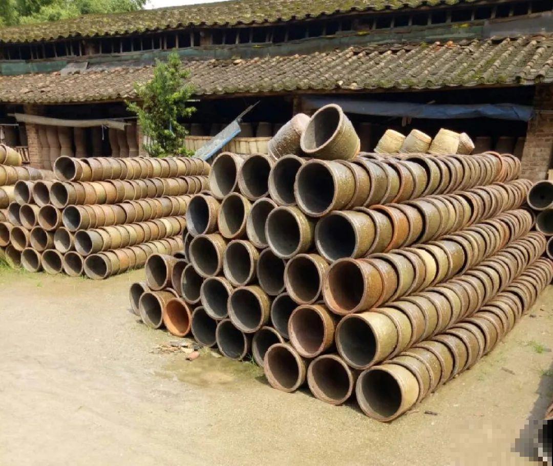 路边别人丢的大花盆，看着眼馋，好想捡回家