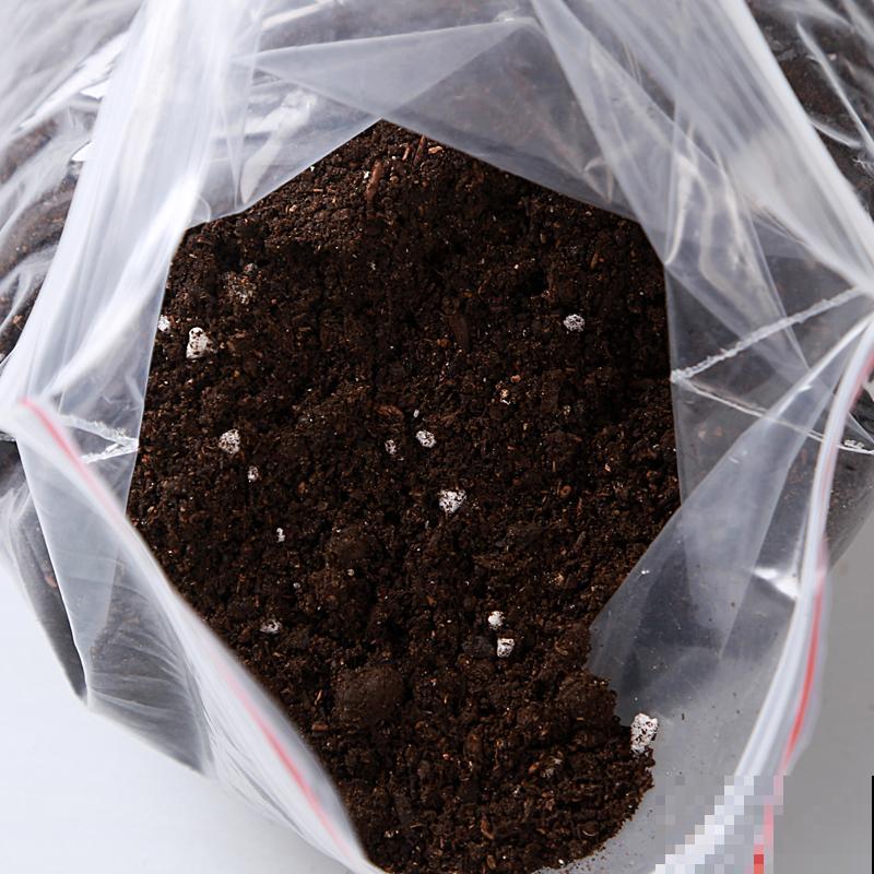 养花的“旧土”这样处理,秒变新的营养土,养啥都旺! 养花的“旧土”这样处理,秒变新的营养土,养啥都旺!